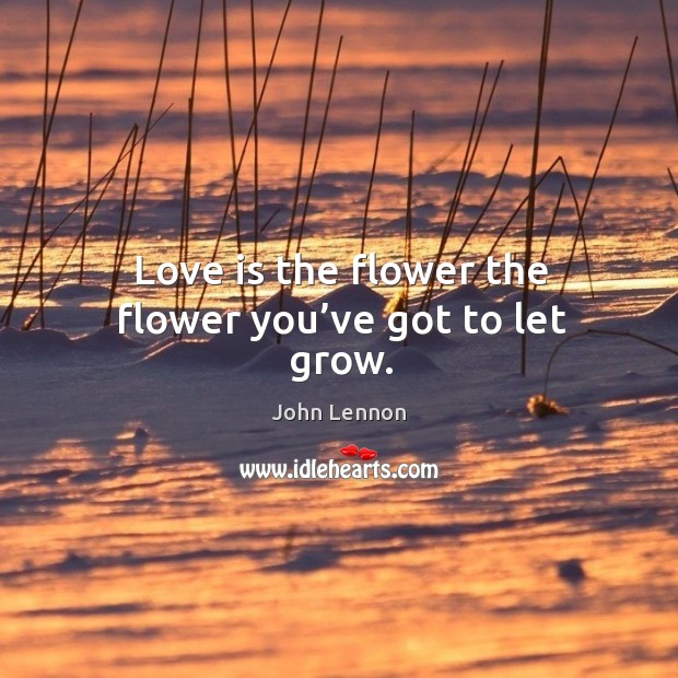 Love is the flower the flower you’ve got to let grow. Love Is Quotes Image