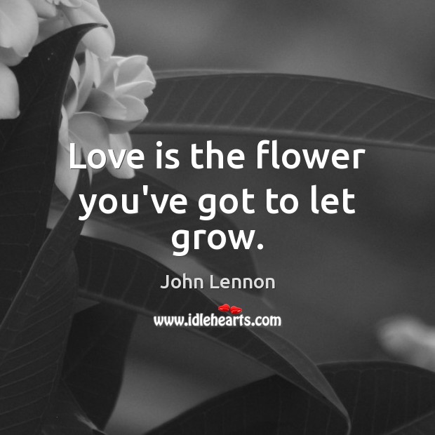Love is the flower you’ve got to let grow. Flowers Quotes Image