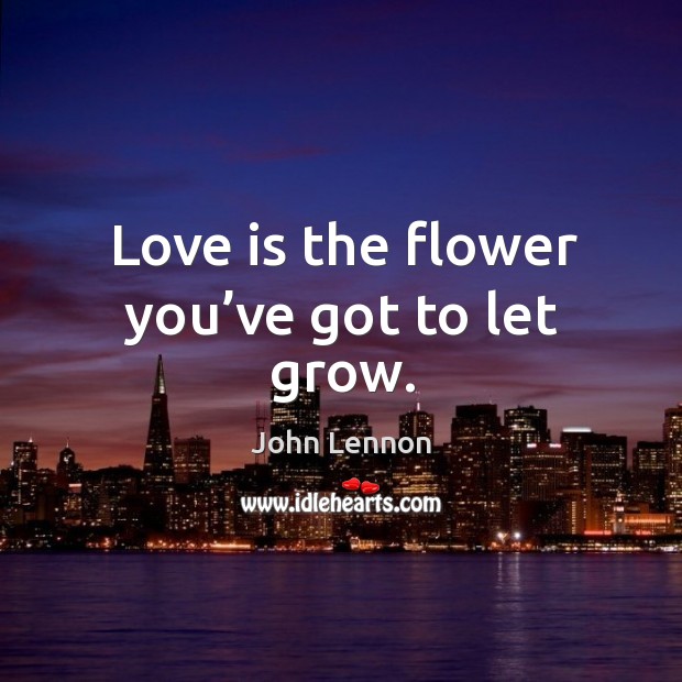 Love is the flower you’ve got to let grow. Image