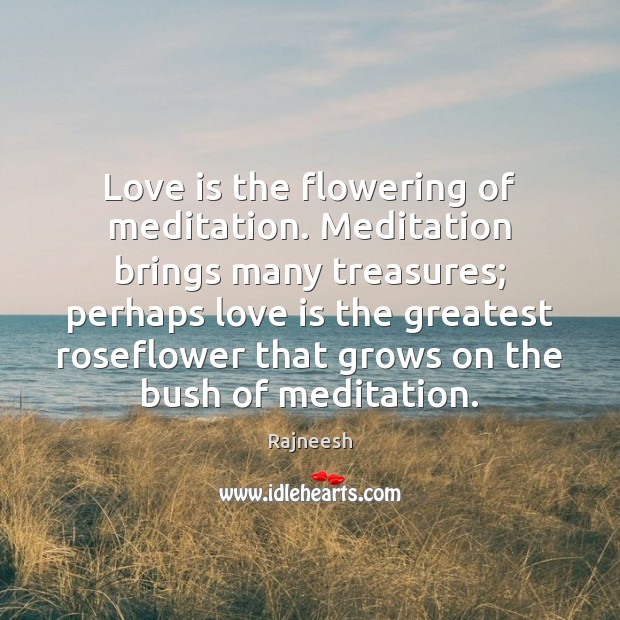 Love is the flowering of meditation. Meditation brings many treasures; perhaps love Image