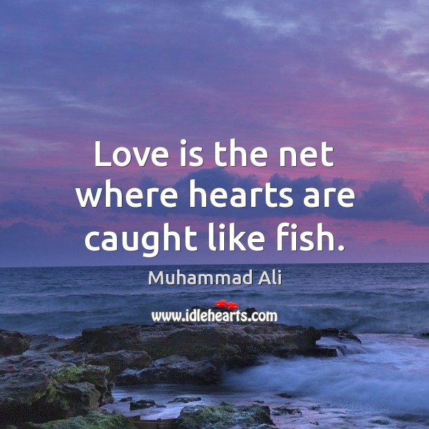 Love is the net where hearts are caught like fish. Muhammad Ali Picture Quote