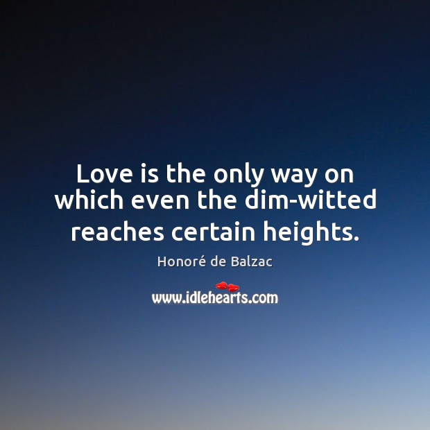 Love is the only way on which even the dim-witted reaches certain heights. Image