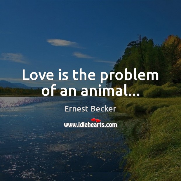 Love is the problem of an animal… Ernest Becker Picture Quote