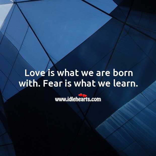 Love is what we are born with. Fear is what we learn. Fear Quotes Image