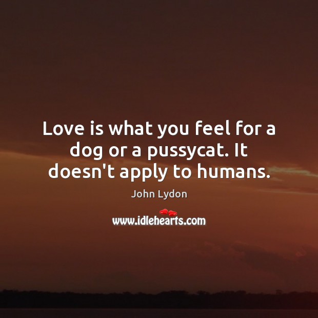 Love is what you feel for a dog or a pussycat. It doesn’t apply to humans. John Lydon Picture Quote