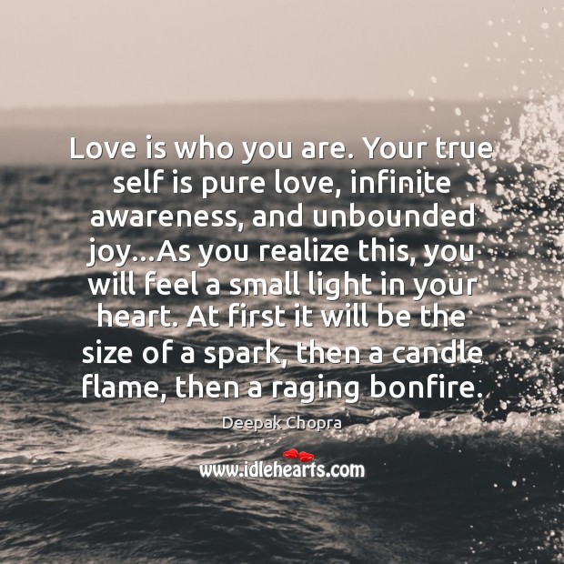 Love is who you are. Your true self is pure love, infinite Image