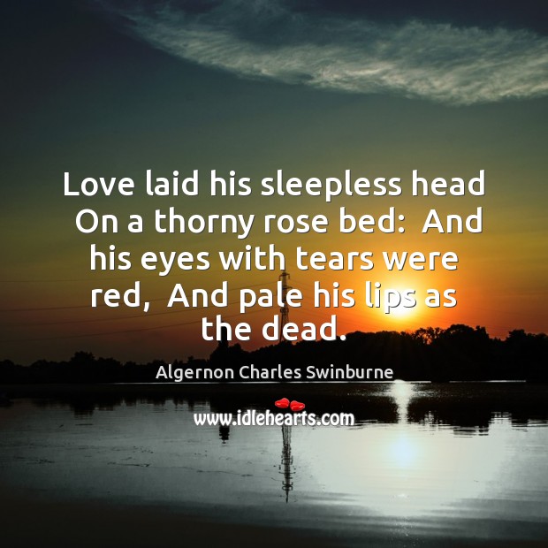 Love laid his sleepless head  On a thorny rose bed:  And his Algernon Charles Swinburne Picture Quote