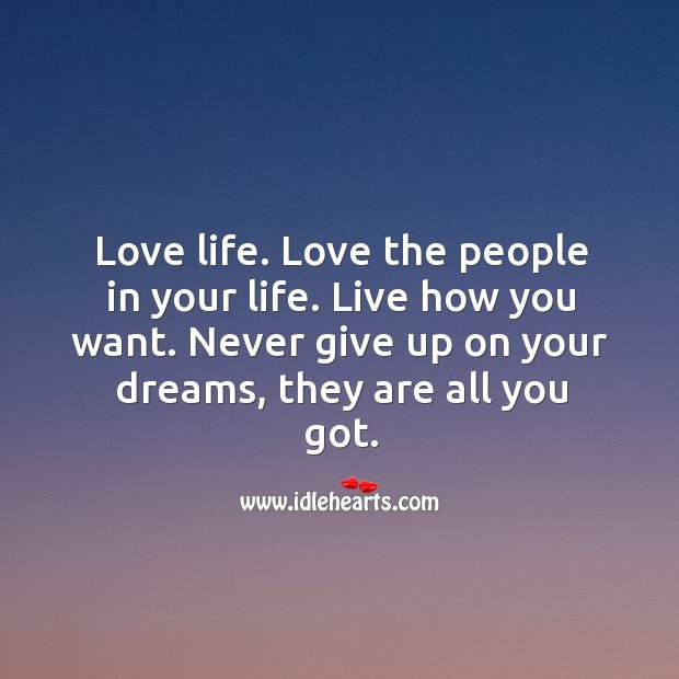 Love life. Love the people in your life. Live how you want. Never give up on your dreams, they are all you got. Never Give Up Quotes Image