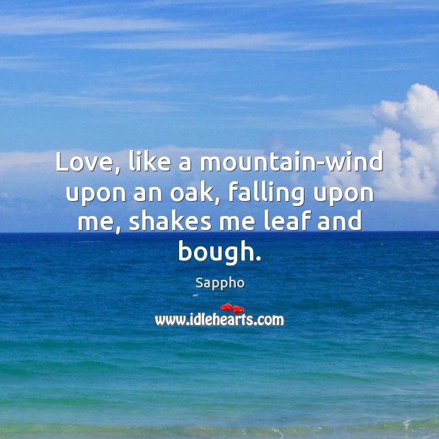 Love, like a mountain-wind upon an oak, falling upon me, shakes me leaf and bough. Sappho Picture Quote