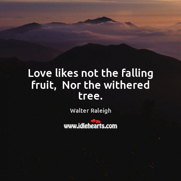 Love likes not the falling fruit,  Nor the withered tree. Walter Raleigh Picture Quote