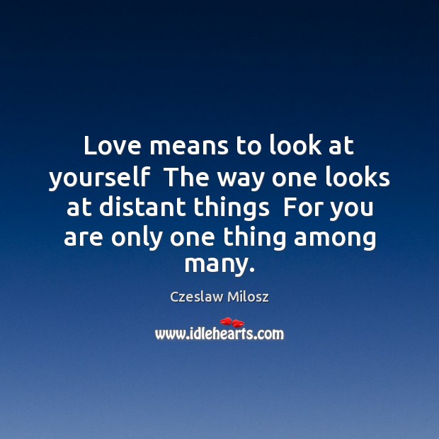 Love means to look at yourself  The way one looks at distant Czeslaw Milosz Picture Quote