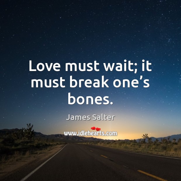 Love must wait; it must break one’s bones. James Salter Picture Quote