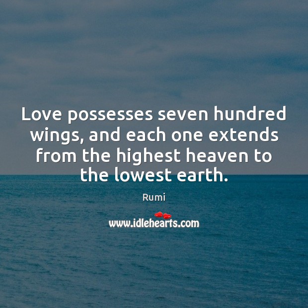 Love possesses seven hundred wings, and each one extends from the highest Rumi Picture Quote