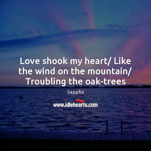Love shook my heart/ Like the wind on the mountain/ Troubling the oak-trees Sappho Picture Quote