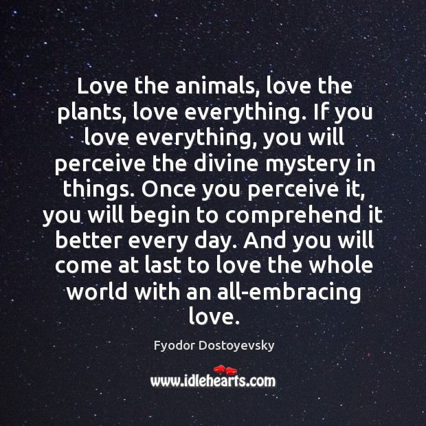 Love the animals, love the plants, love everything. If you love everything. Fyodor Dostoyevsky Picture Quote