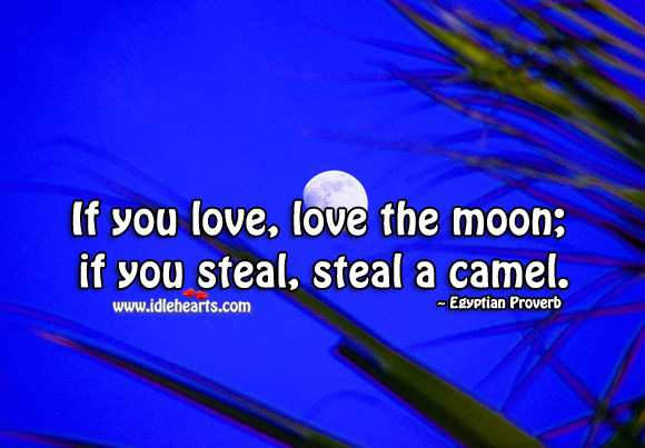 If you love, love the moon; if you steal, steal a camel. Egyptian Proverbs Image