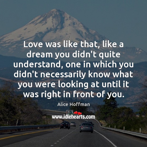 Love was like that, like a dream you didn’t quite understand, one Alice Hoffman Picture Quote