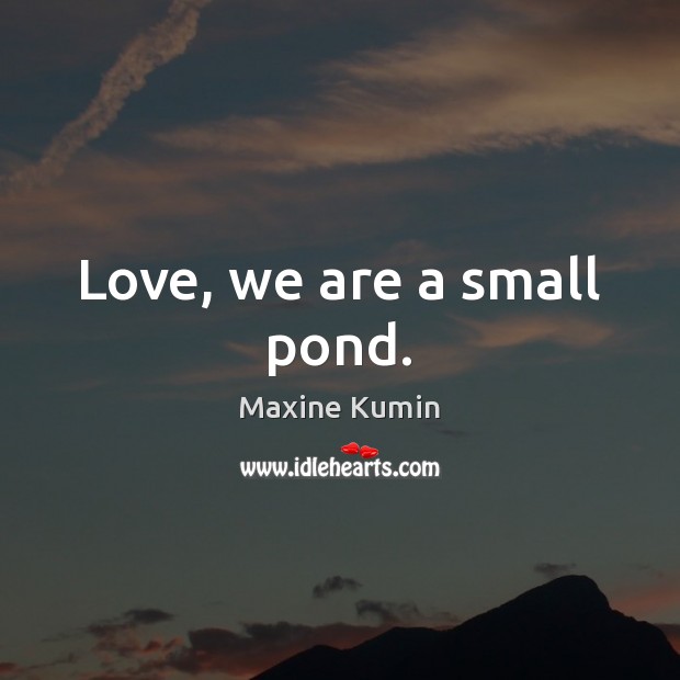 Love, we are a small pond. Maxine Kumin Picture Quote
