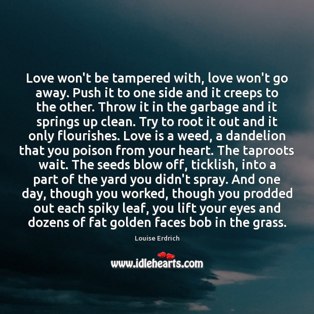 Love won’t be tampered with, love won’t go away. Push it to Image