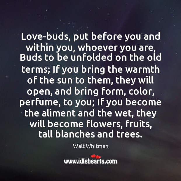 Love-buds, put before you and within you, whoever you are, Buds to Walt Whitman Picture Quote