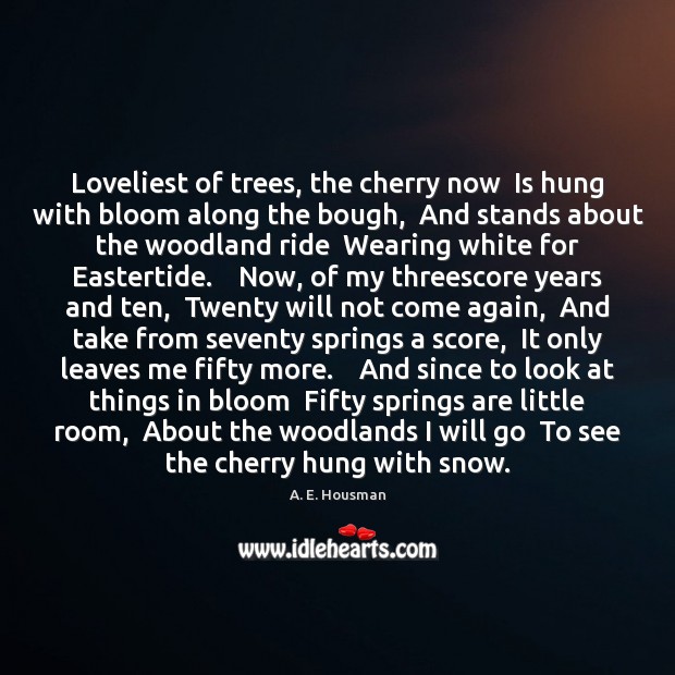 Loveliest of trees, the cherry now  Is hung with bloom along the A. E. Housman Picture Quote