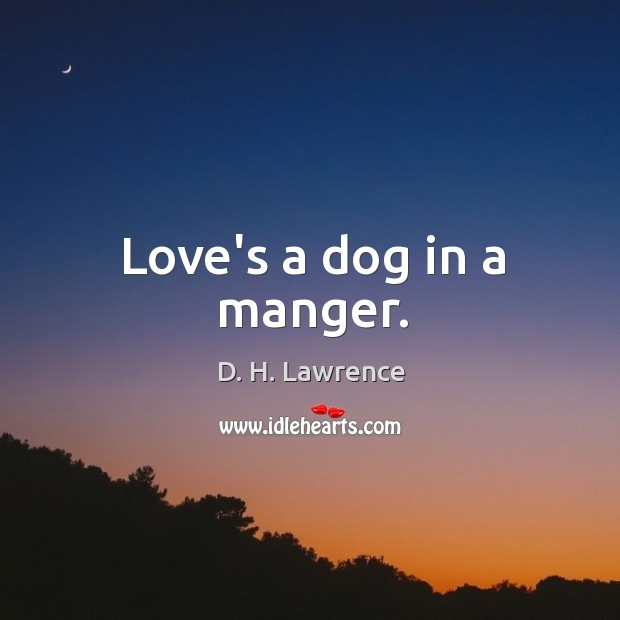 Love’s a dog in a manger. D. H. Lawrence Picture Quote
