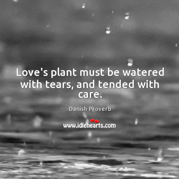 Love’s plant must be watered with tears, and tended with care. Image