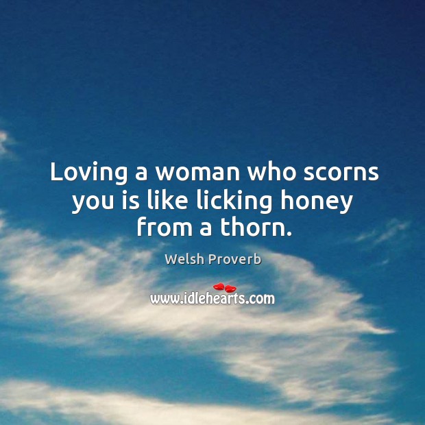 Loving a woman who scorns you is like licking honey from a thorn. Welsh Proverbs Image