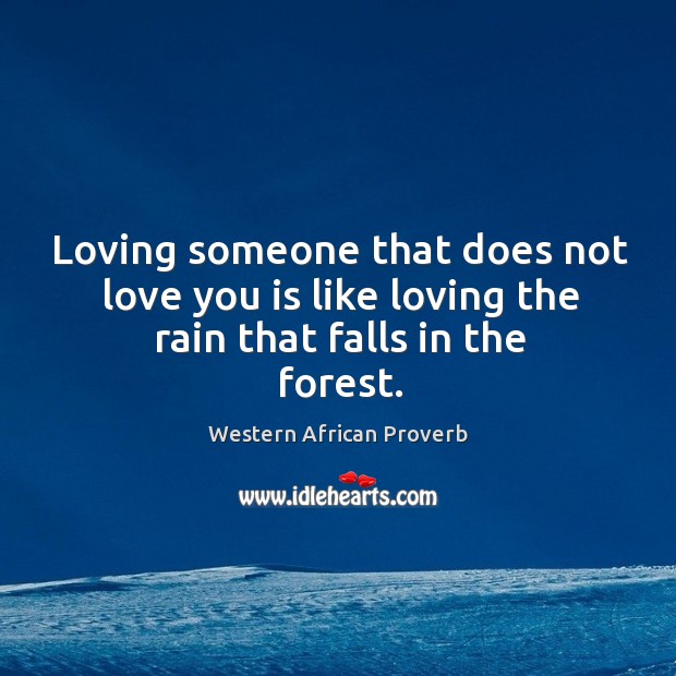 Loving someone that does not love you is like loving the rain that falls in the forest. Western African Proverbs Image