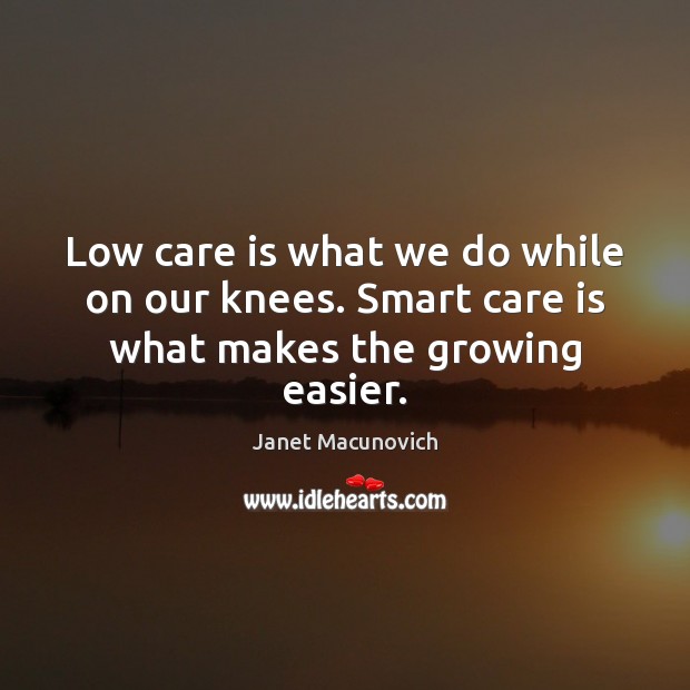 Low care is what we do while on our knees. Smart care is what makes the growing easier. Janet Macunovich Picture Quote