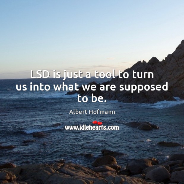 LSD is just a tool to turn us into what we are supposed to be. Image