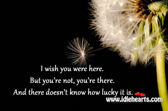 How lucky it is Life Quotes Image