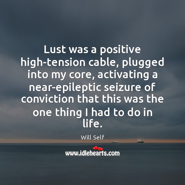 Lust was a positive high-tension cable, plugged into my core, activating a Will Self Picture Quote