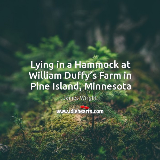 Lying in a Hammock at William Duffy’s Farm in Pine Island, Minnesota James Wright Picture Quote