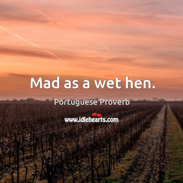 Mad as a wet hen. Image