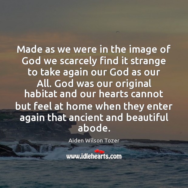 Made as we were in the image of God we scarcely find Aiden Wilson Tozer Picture Quote