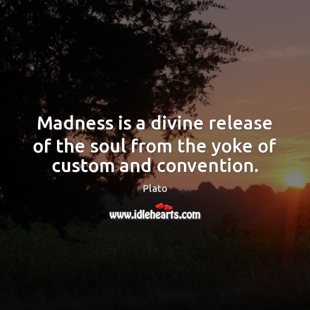 Madness is a divine release of the soul from the yoke of custom and convention. Plato Picture Quote
