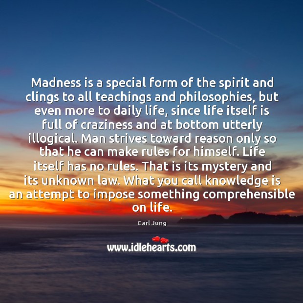 Madness is a special form of the spirit and clings to all Image