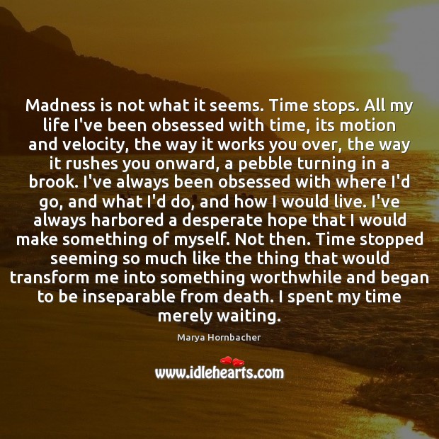 Madness is not what it seems. Time stops. All my life I’ve Marya Hornbacher Picture Quote