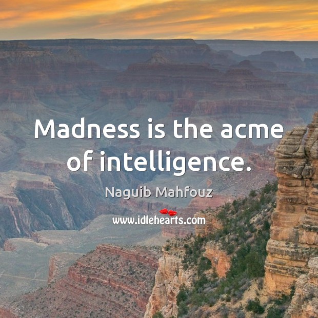 Madness is the acme of intelligence. Image