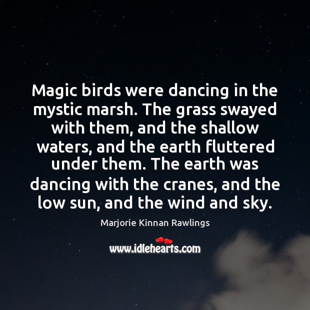 Magic birds were dancing in the mystic marsh. The grass swayed with Marjorie Kinnan Rawlings Picture Quote