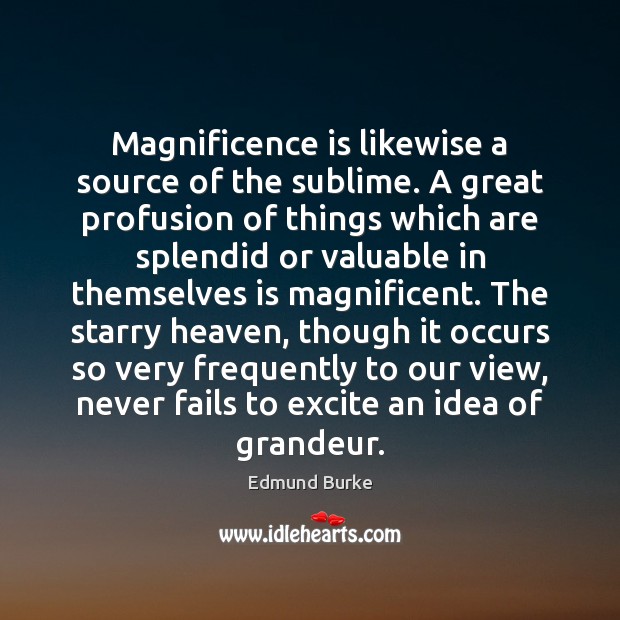 Magnificence is likewise a source of the sublime. A great profusion of Edmund Burke Picture Quote
