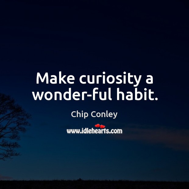 Make curiosity a wonder-ful habit. Chip Conley Picture Quote