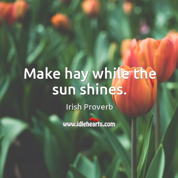 Make hay while the sun shines. Irish Proverbs Image