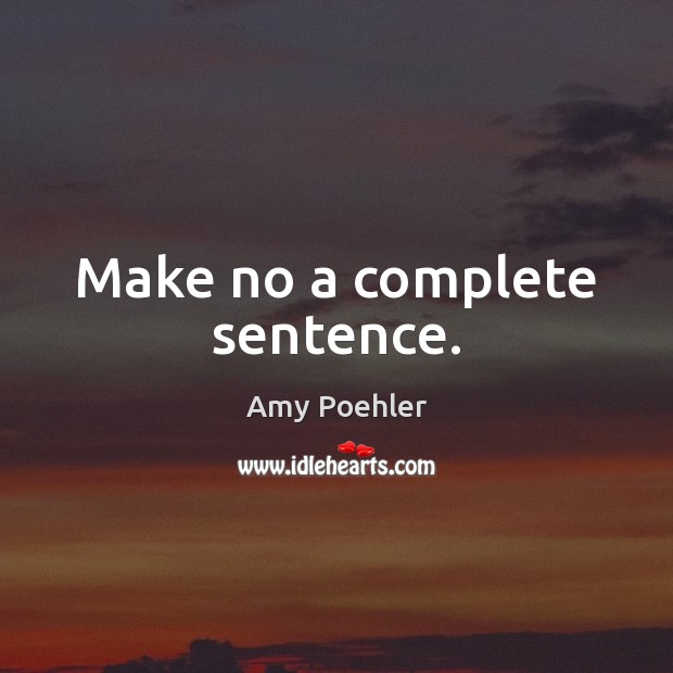 Make no a complete sentence. Amy Poehler Picture Quote