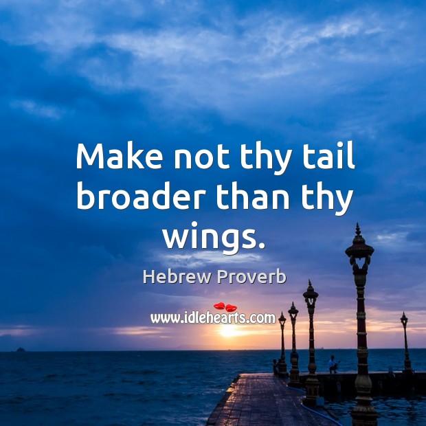 Make not thy tail broader than thy wings. Image