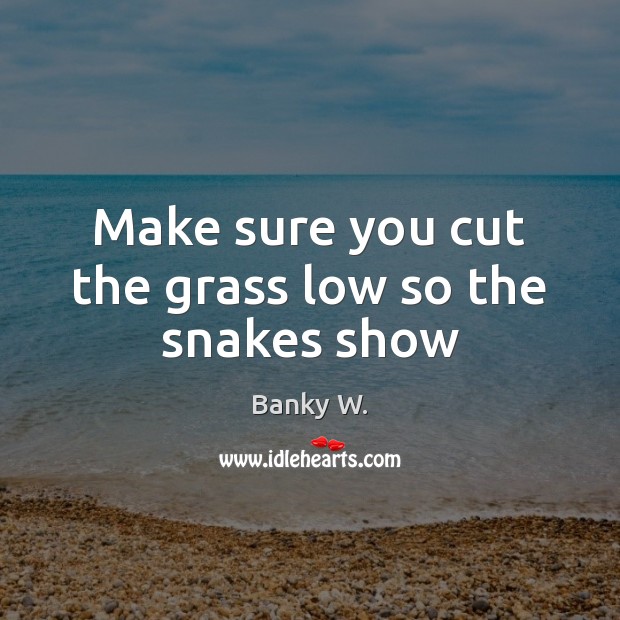 Make sure you cut the grass low so the snakes show Banky W. Picture Quote
