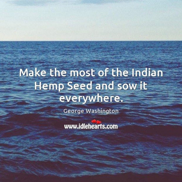 Make the most of the Indian Hemp Seed and sow it everywhere. George Washington Picture Quote