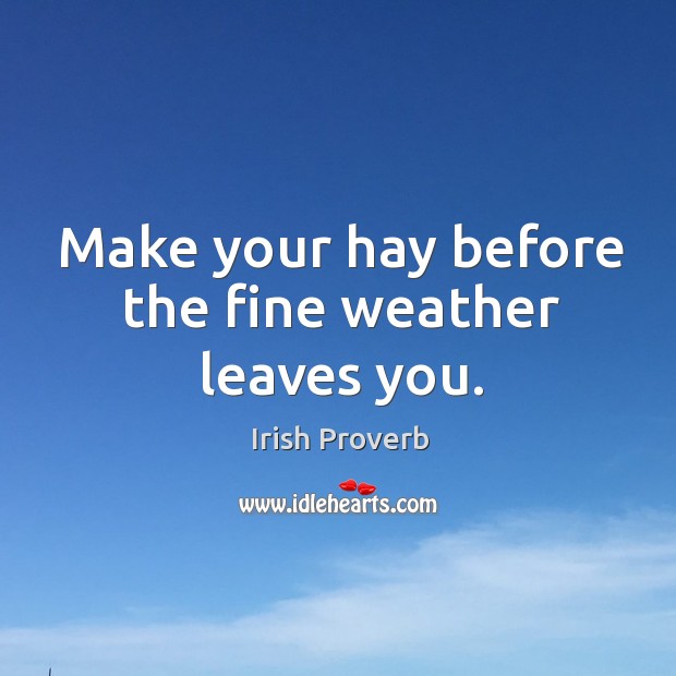 Make your hay before the fine weather leaves you. Irish Proverbs Image
