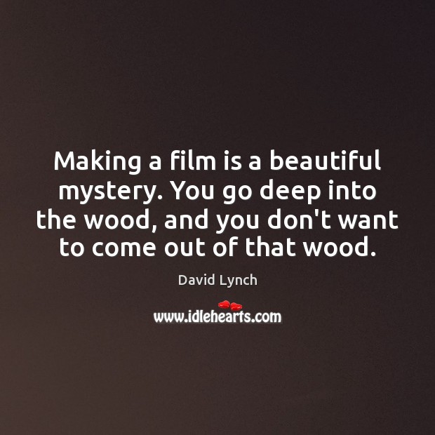 Making a film is a beautiful mystery. You go deep into the David Lynch Picture Quote
